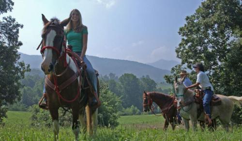 brasstown-valley-stables-horseback-riding-740x430