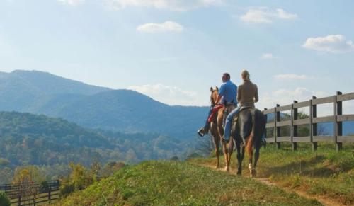 brasstown-valley-stables-horseback-riding-mountains-740x430