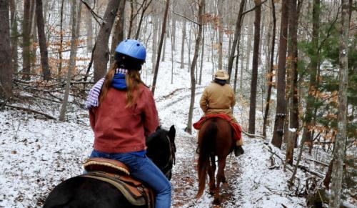 brasstown-valley-stables-horseback-riding-snow-740x430